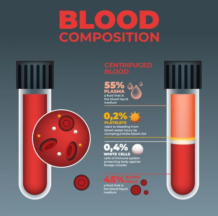 Blood Cells Have Various Lifespans